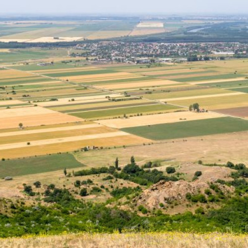 Fermierii sunt atenționați: Declarațiile pentru Registrul Agricol sunt necesare
