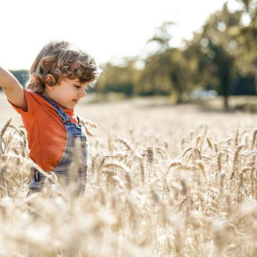 Strategii de reinnoire a generațiilor în agricultura UE