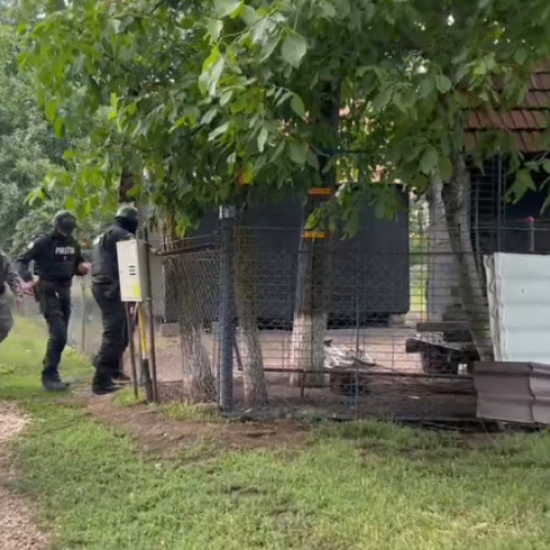 Video Suspectul crimei din Mureș, căutat în județul Arad. Sunt percheziții și la mai multe adrese din Mureş