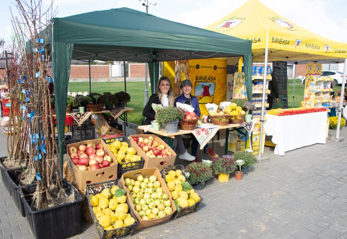 Târgul fermierului ilfovean a adus produse locale și tradiții autentice la Conacul Cozieni