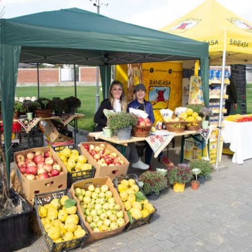 Târgul fermierului ilfovean a adus produse locale și tradiții autentice la Conacul Cozieni